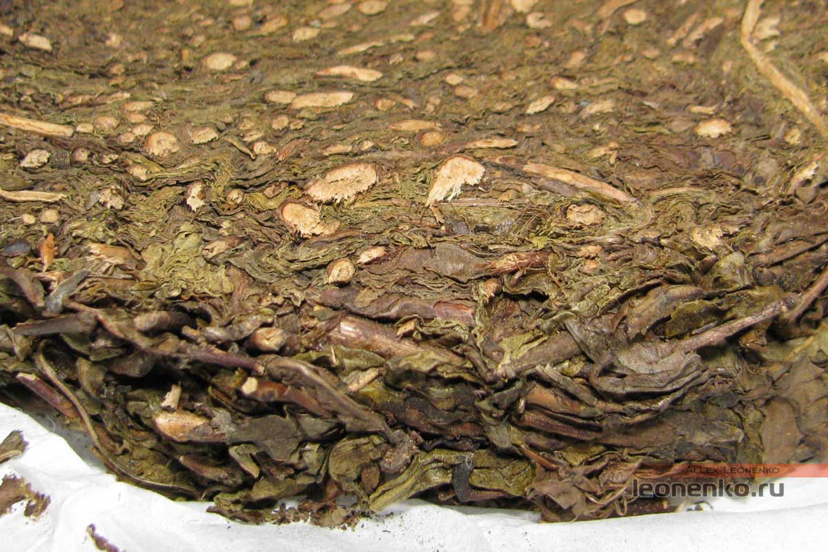 Тысячеляновый черный чай Хей Ча 2013 года - чай крупным планом
