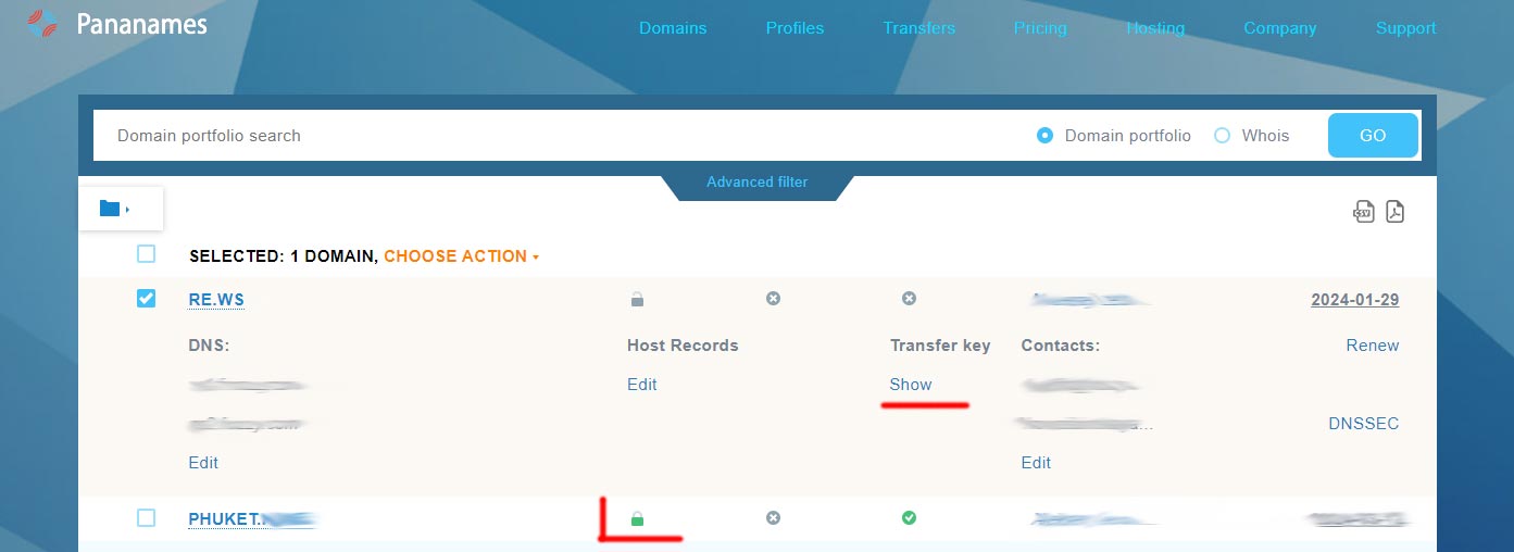 pananames.com - получение ключа для трансфера домена