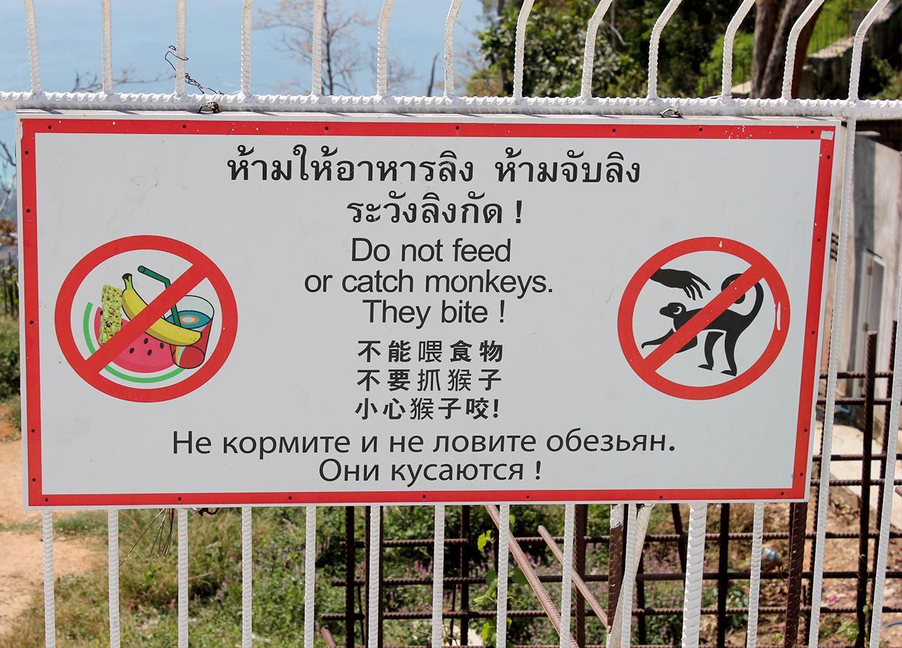 Не кормите обезьян...